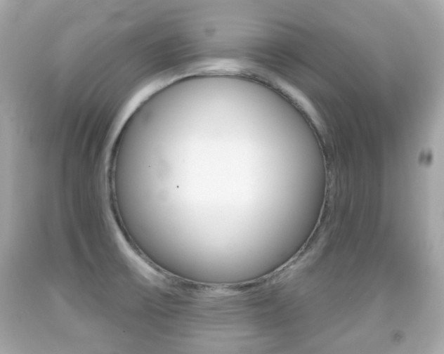 X0000091851475200709050925