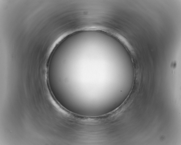 X0000091851476200709050925
