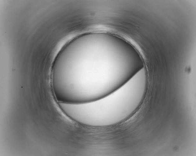 X0000091851477200709050925