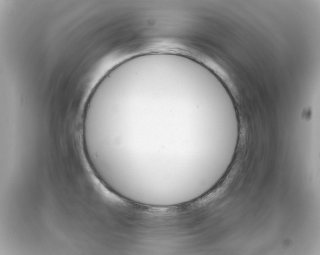 X0000091851478200709050925