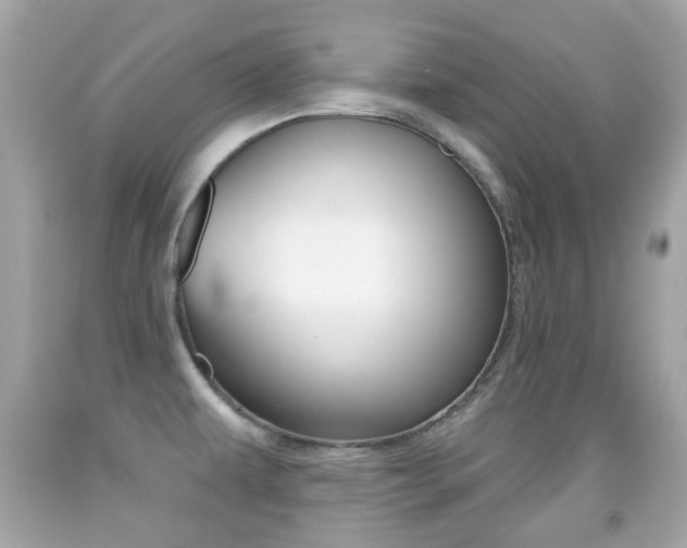 X0000091851479200709050925