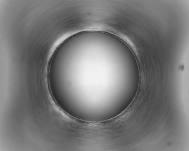 X0000091851480200709050925