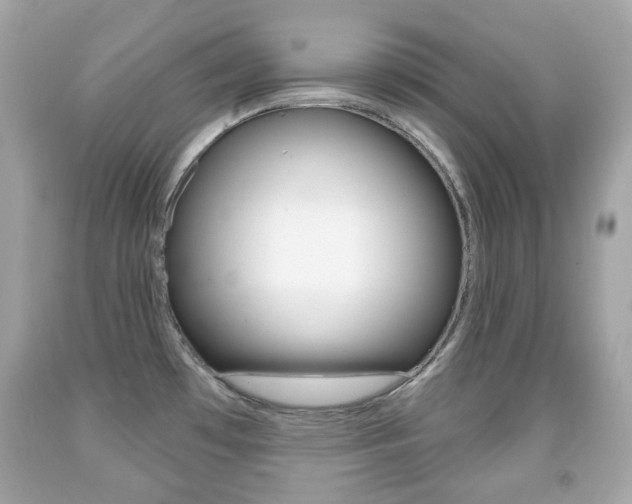 X0000091851481200709050925