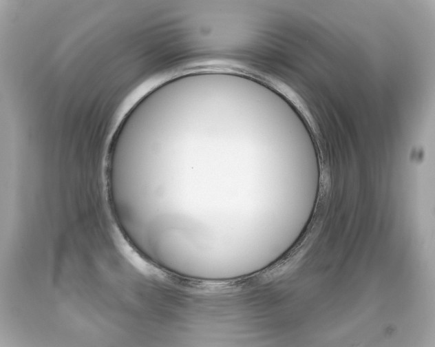 X0000091851482200709050925
