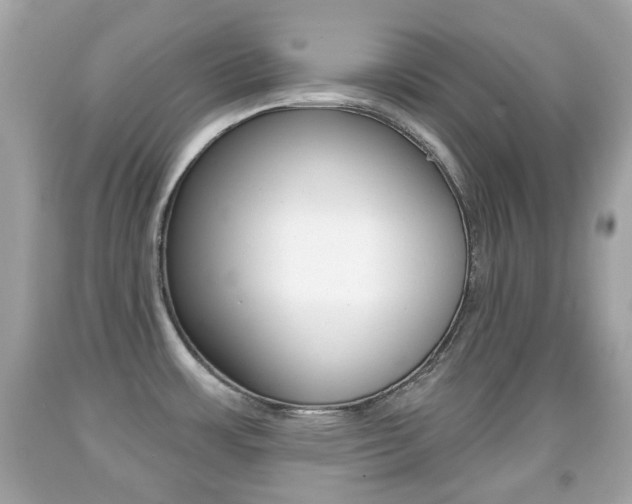 X0000091851483200709050925