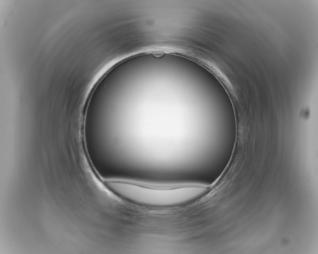 X0000091851484200709050925