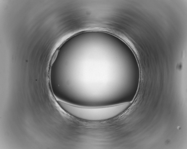 X0000091851485200709050925