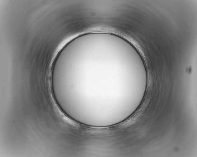 X0000091851486200709050925