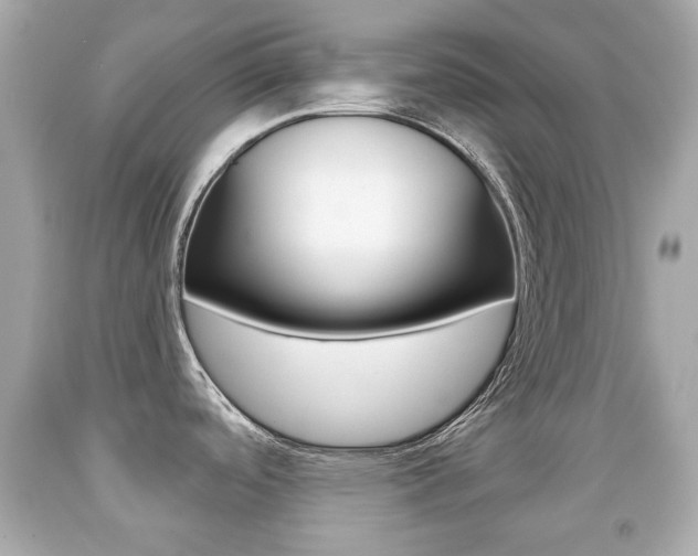 X0000091851488200709050925