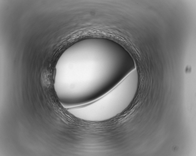 X0000091851490200709050924