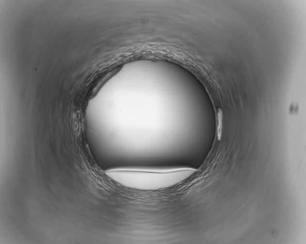 X0000091851491200709050924