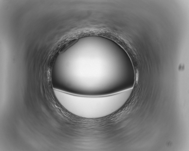 X0000091851492200709050924