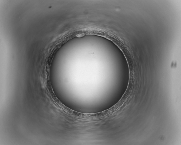 X0000091851493200709050924