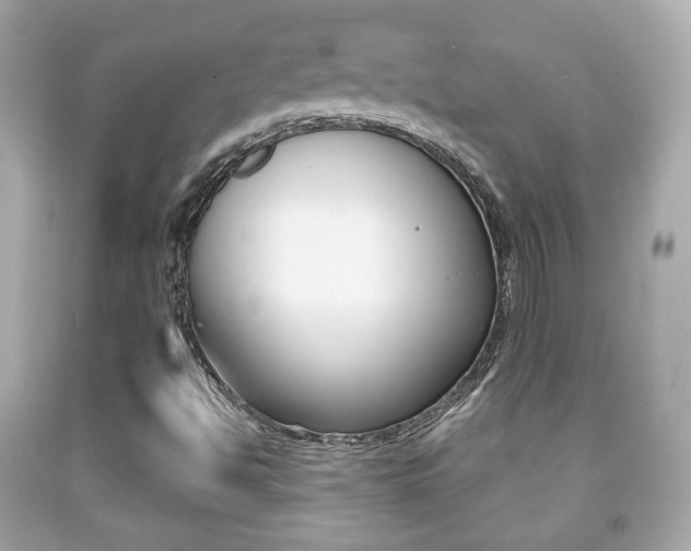 X0000091851494200709050924