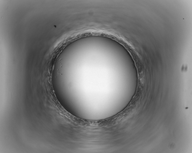 X0000091851495200709050924