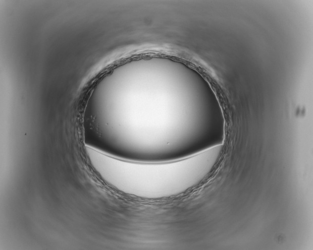 X0000091851496200709050924