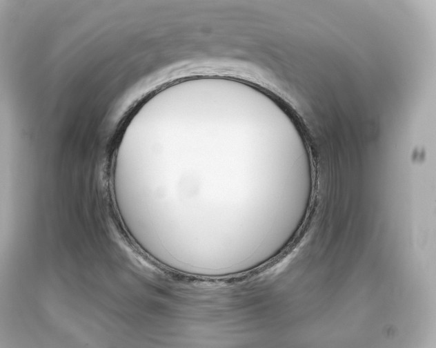 X0000091851498200709050924
