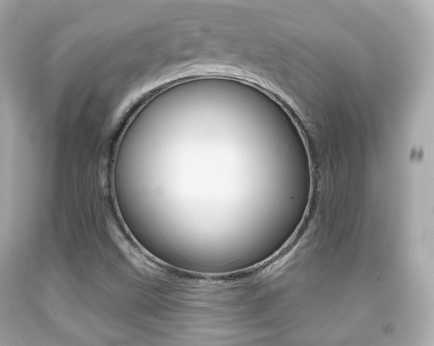 X0000091851499200709050924