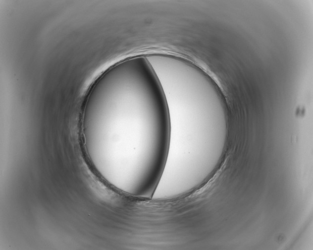 X0000091851500200709050924