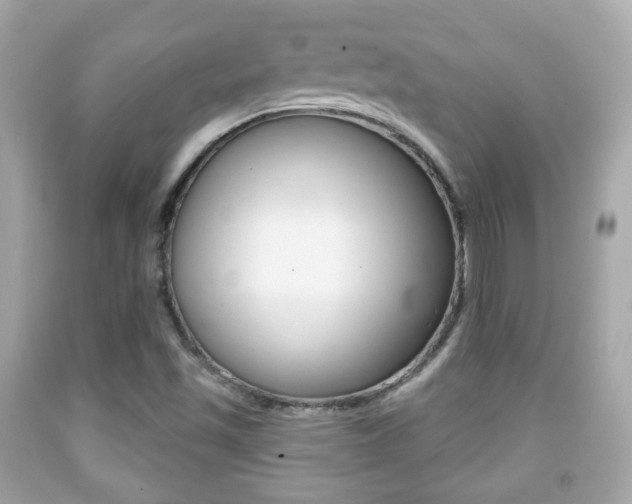 X0000091851501200709050924