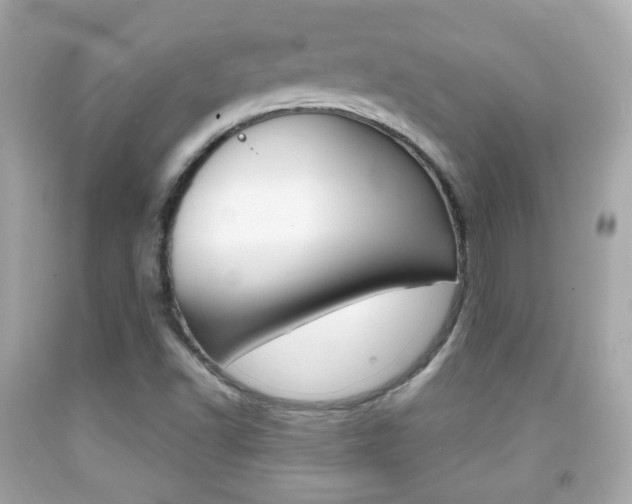 X0000091851502200709050924