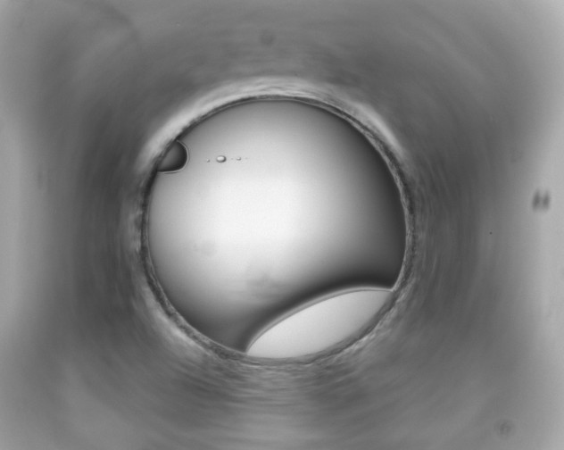 X0000091851504200709050925