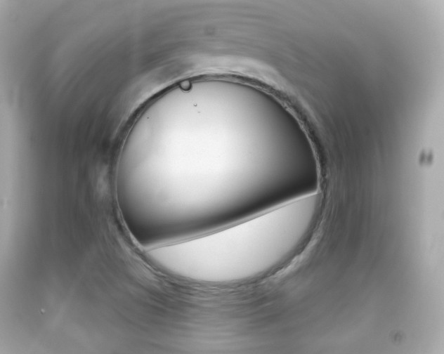 X0000091851505200709050925
