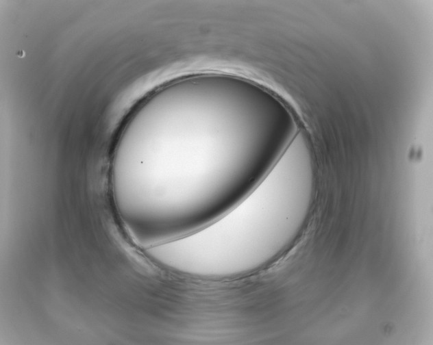 X0000091851507200709050925