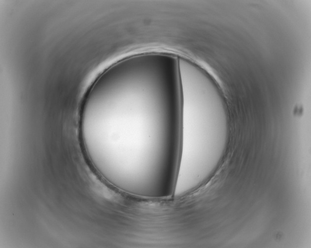X0000091851508200709050925