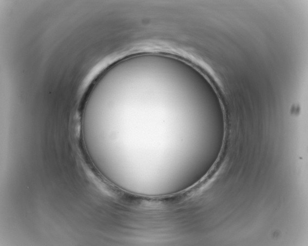 X0000091851509200709050925
