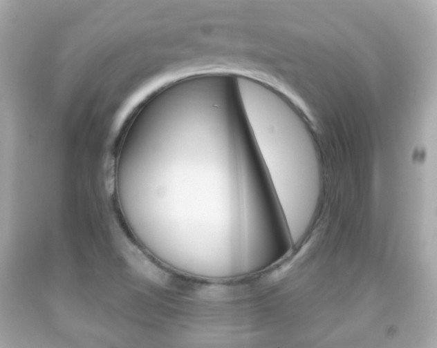 X0000091851510200709050925