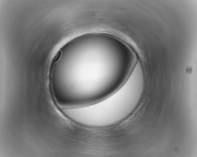 X0000091851512200709050925