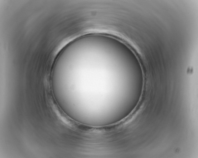 X0000091851513200709050925