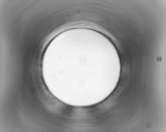 X0000091851514200709050925