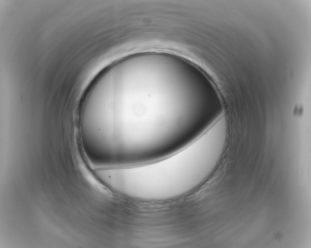 X0000091851515200709050925