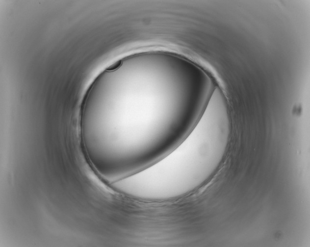 X0000091851516200709050925