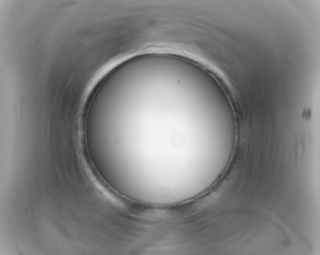 X0000091851517200709050925