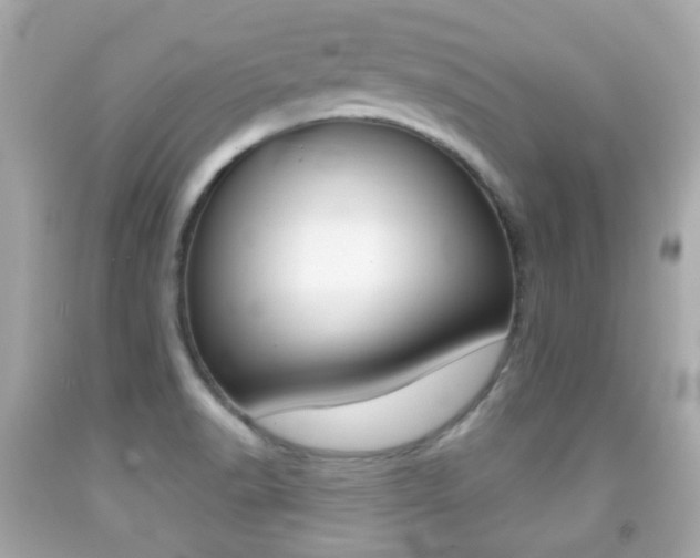 X0000091851518200709050925