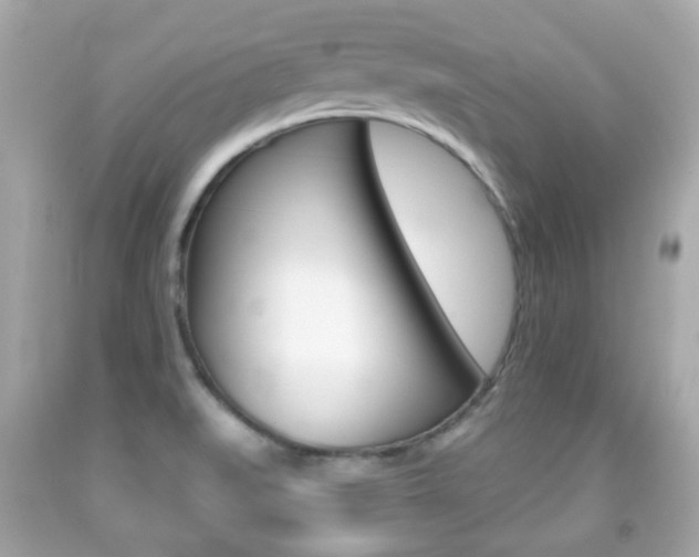 X0000091851519200709050925
