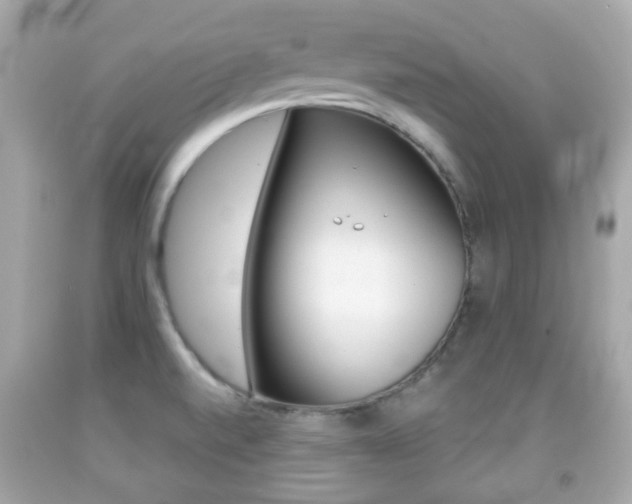 X0000091851520200709050925