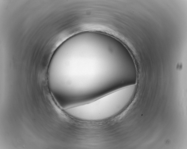 X0000091851521200709050925