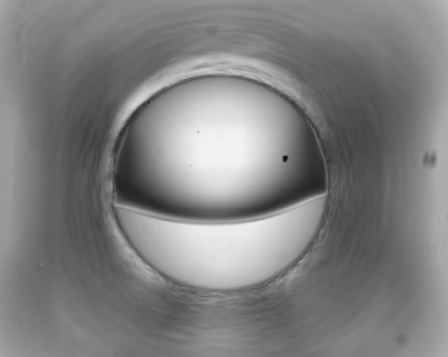 X0000091851522200709050925