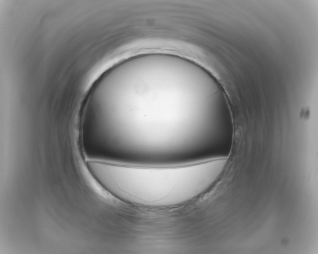 X0000091851523200709050925