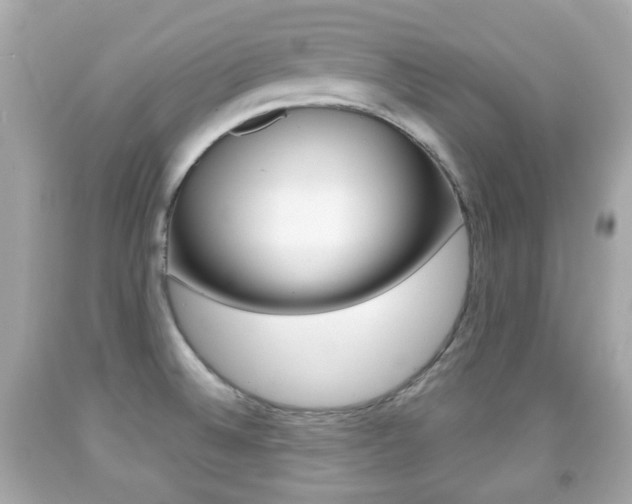 X0000091851524200709050925