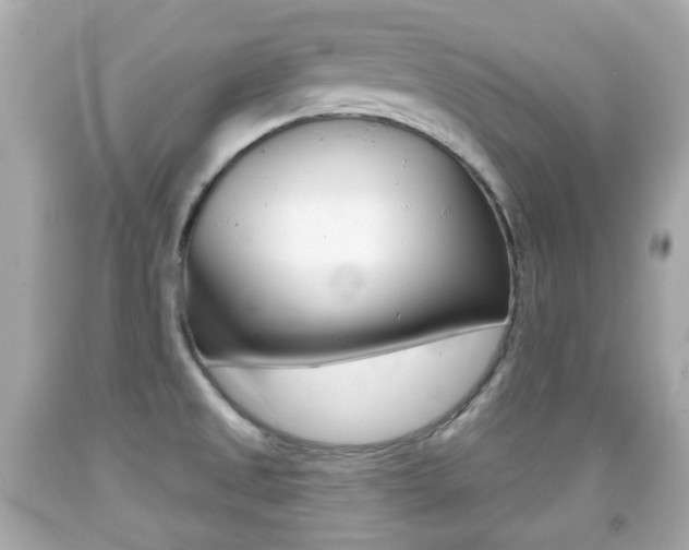 X0000091851525200709050925