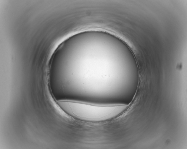 X0000091851526200709050925