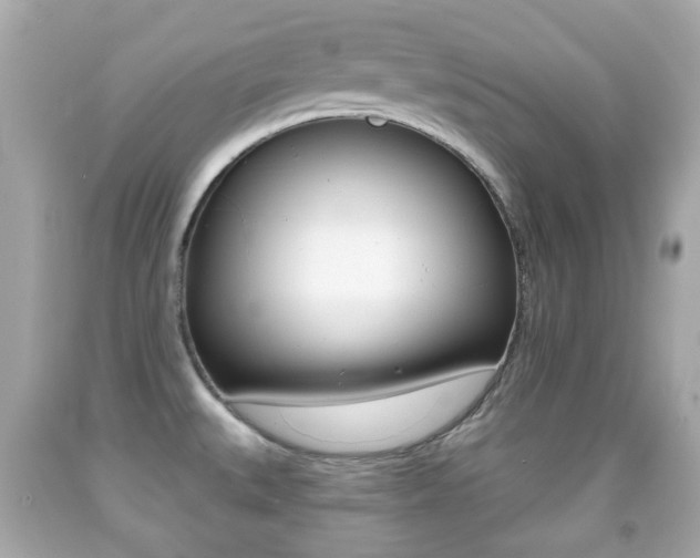 X0000091851527200709050925