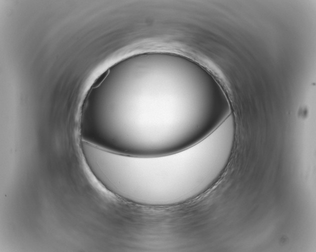 X0000091851528200709050925