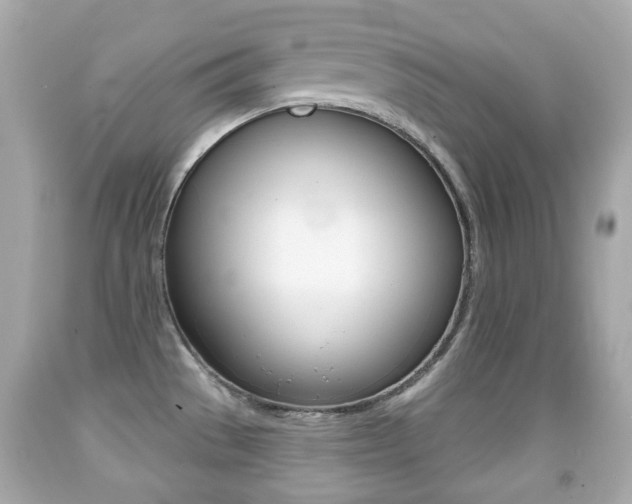 X0000091851529200709050925