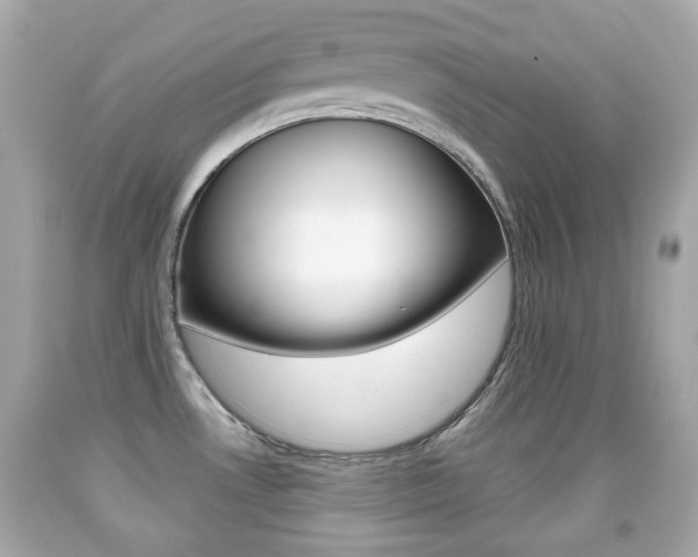 X0000091851530200709050925